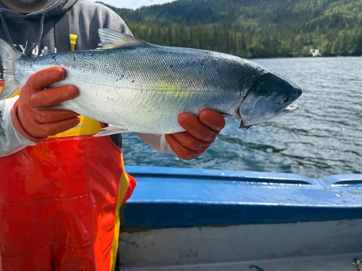 Prince William Sound Sockeye