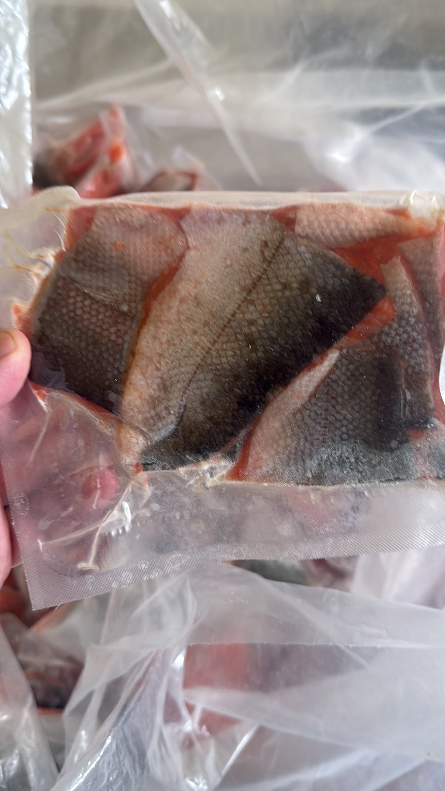 Copper River Sockeye Tails