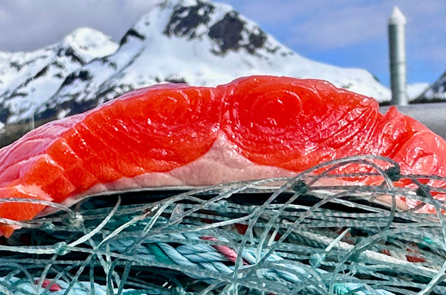 Prince William Sound Sockeye