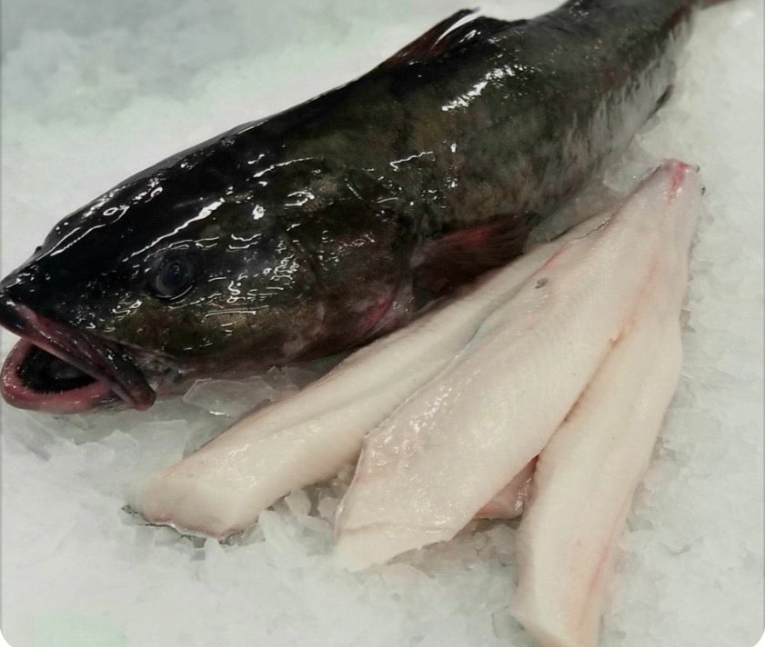 White Fish Assortment (halibut & Black Cod)