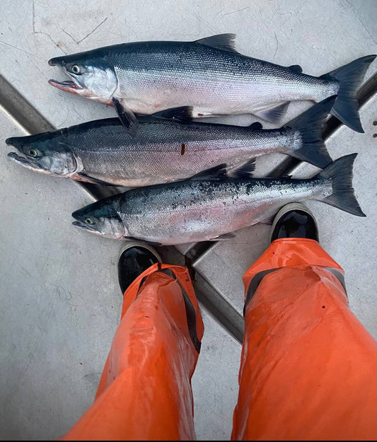 Prince William Sound Sockeye