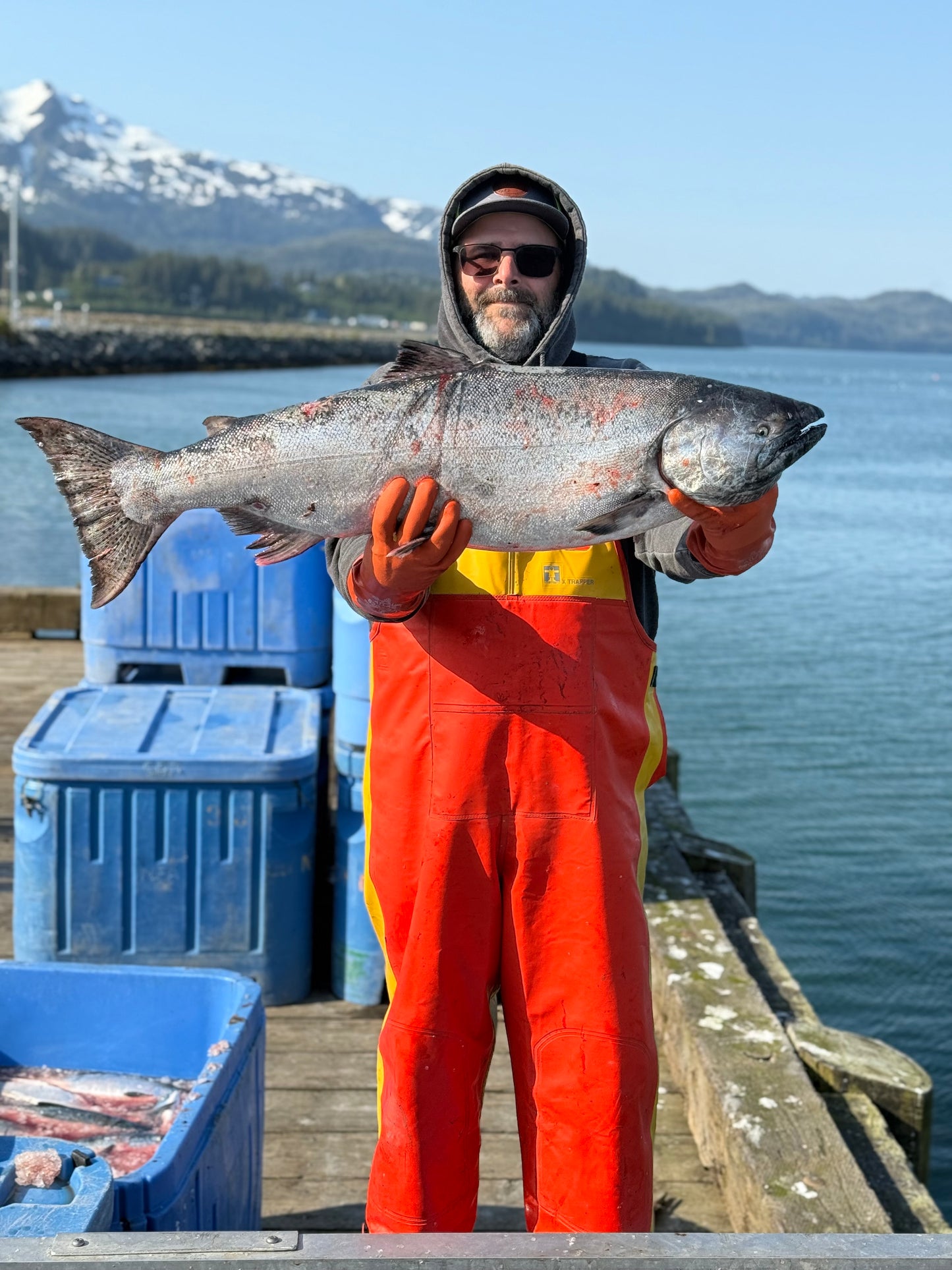 Premium Salmon Assortment Box