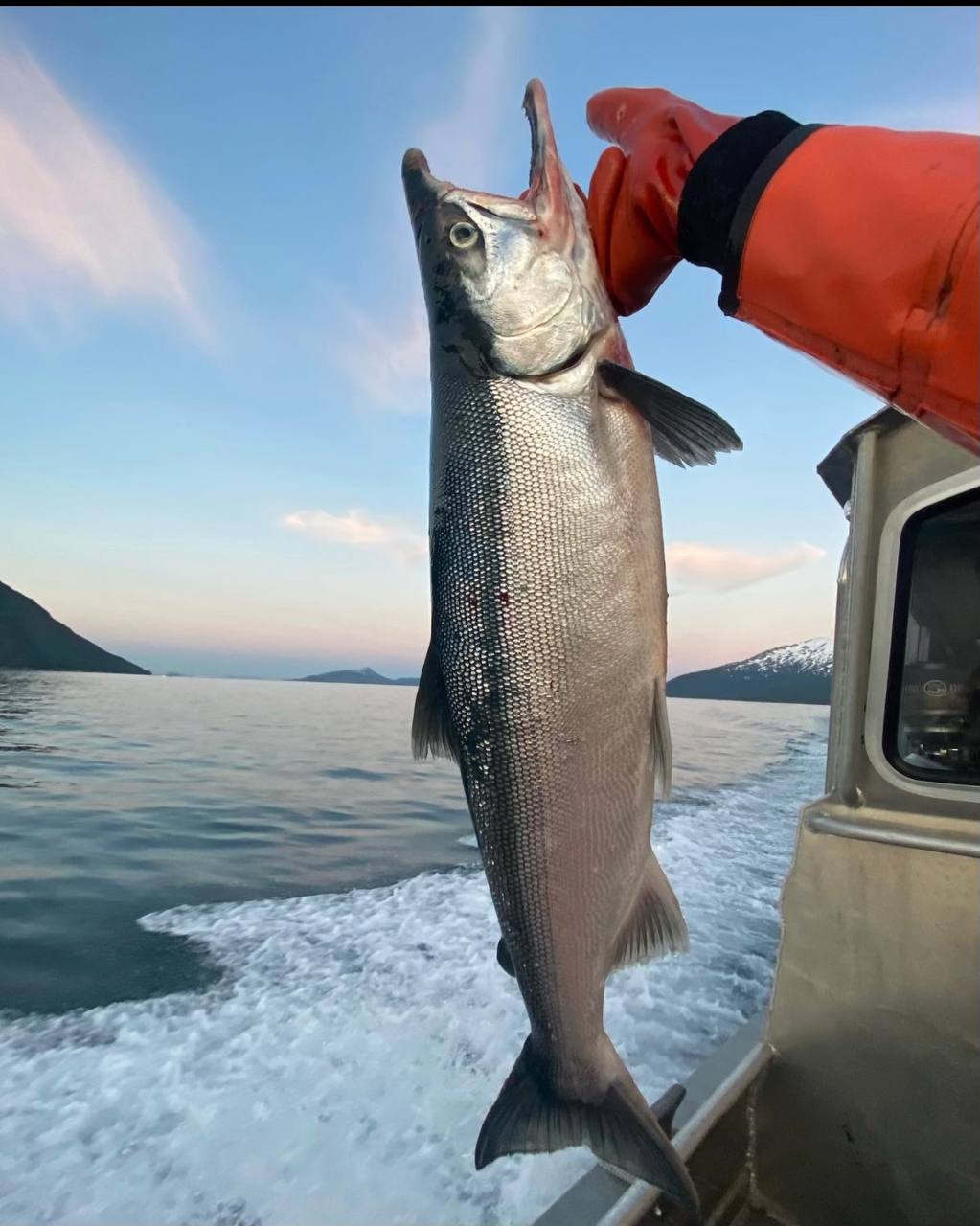 wild alaskan salmon bundle (including smoked copper river sockeye portions)